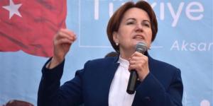 Meral Akşener’den Yavuz Selim Demirağ tepkisi