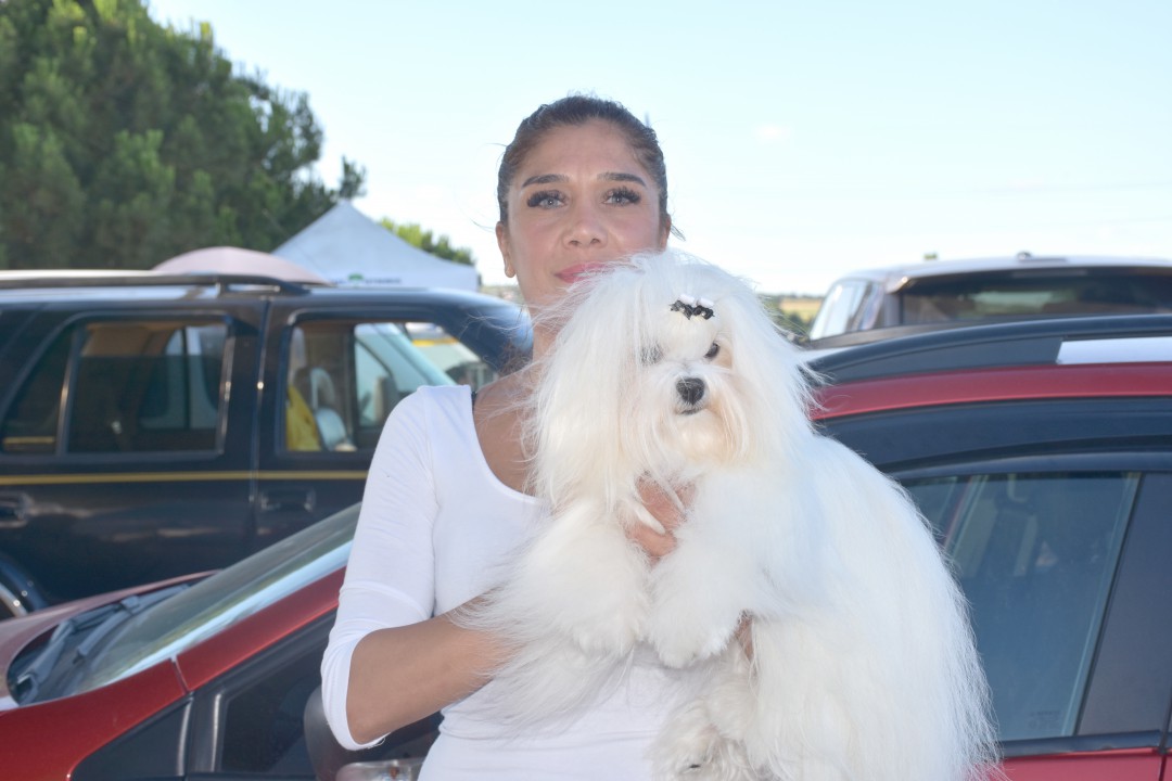 SİLİVRİ’DE KÖPEK IRKLARI KIYASIYA YARIŞTI