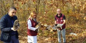 ÇATALCA BELEDİYESİ’NDEN SOKAK HAYVANLARI İLE İLGİLİ İDDİALARA AÇIKLAMA