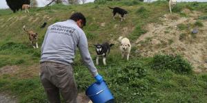 BÜYÜKÇEKMECE BELEDİYESİ, ZOR GÜNLERİNDE DE CAN DOSTLARIN YANINDA