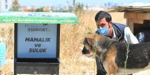 ESENYURT BELEDİYESİ’NDEN SOKAK HAYVANLARINA MAMALIK VE SULUK