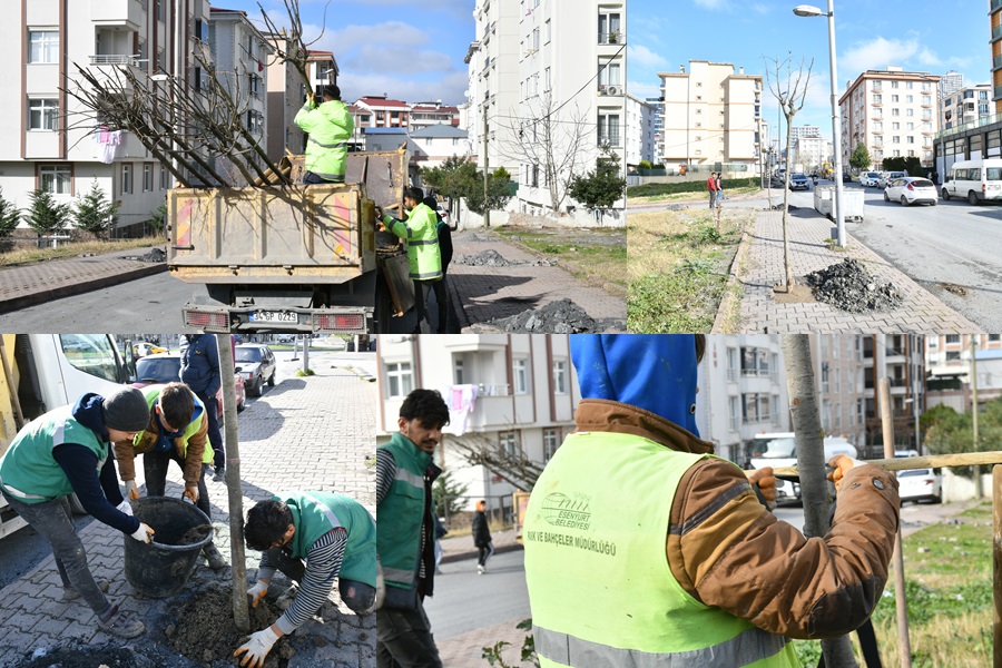 ESENYURT’TA SORUNLAR YEŞİLLENDİRMEYLE ÇÖZÜLÜYOR