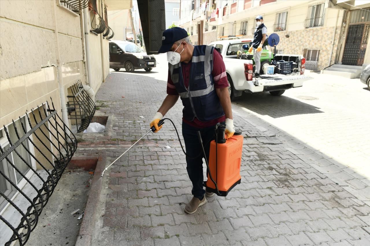 ESENYURT BELEDİYESİNDEN HAŞERE VE BÖCEKLERLE ETKİN MÜCADELE