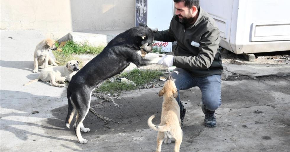 ESENYURT BELEDİYESİ CAN DOSTLARIMIZI UNUTMUYOR